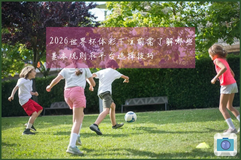 2026世界杯体彩下注前需了解哪些基本规则和平台选择技巧