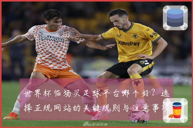 世界杯临场买足球平台哪个好？选择正规网站的关键规则与注意事项