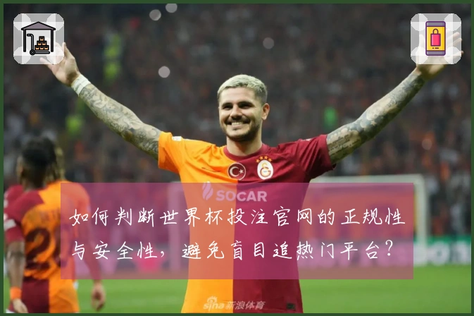 如何判断世界杯投注官网的正规性与安全性，避免盲目追热门平台？