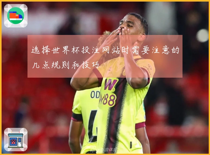 选择世界杯投注网站时需要注意的几点规则和技巧