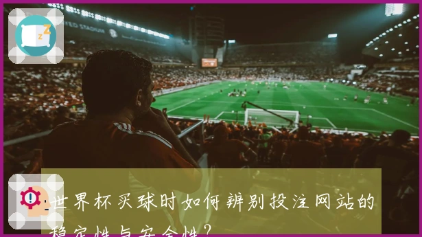 世界杯买球时如何辨别投注网站的稳定性与安全性？