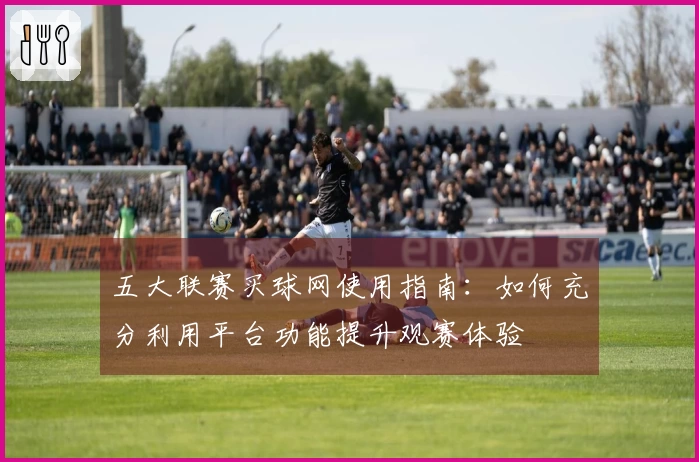 五大联赛买球网使用指南：如何充分利用平台功能提升观赛体验